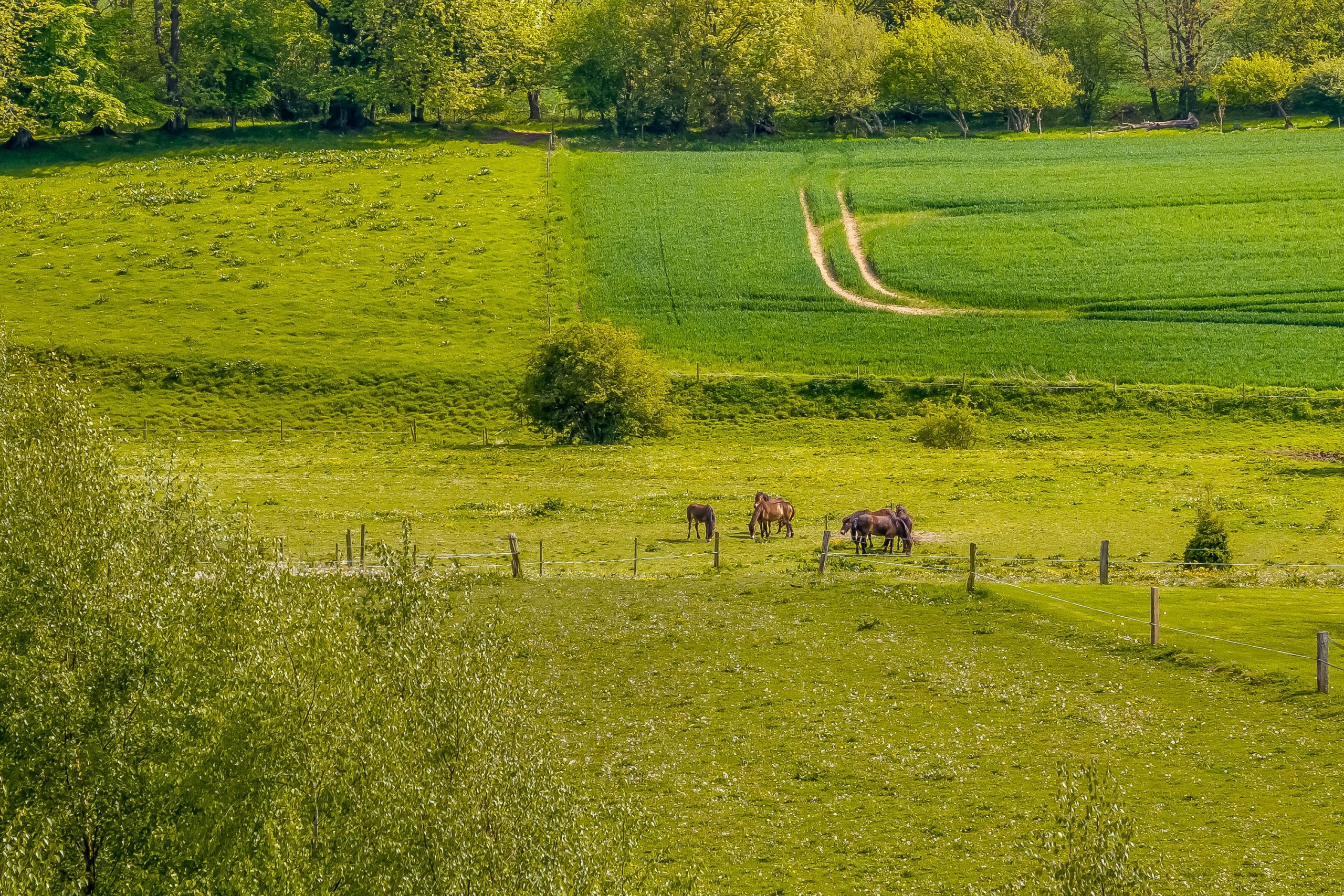 Naturejendom-lystejendom-vejle-17