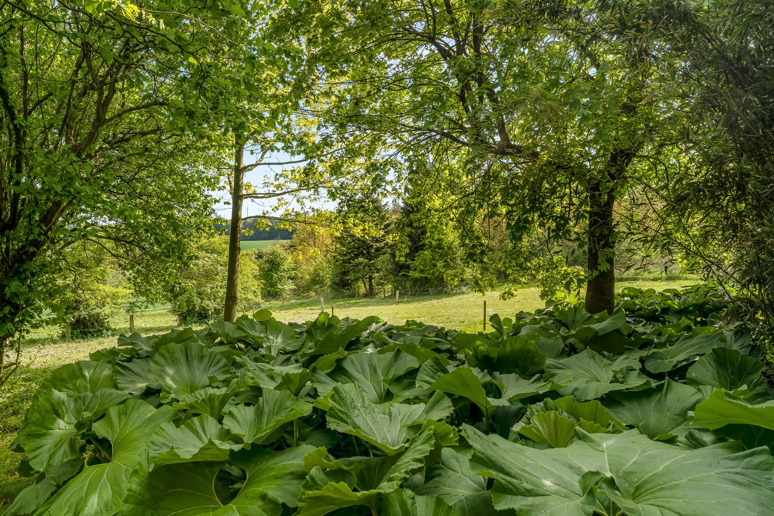 Naturejendom-lystejendom-vejle-47