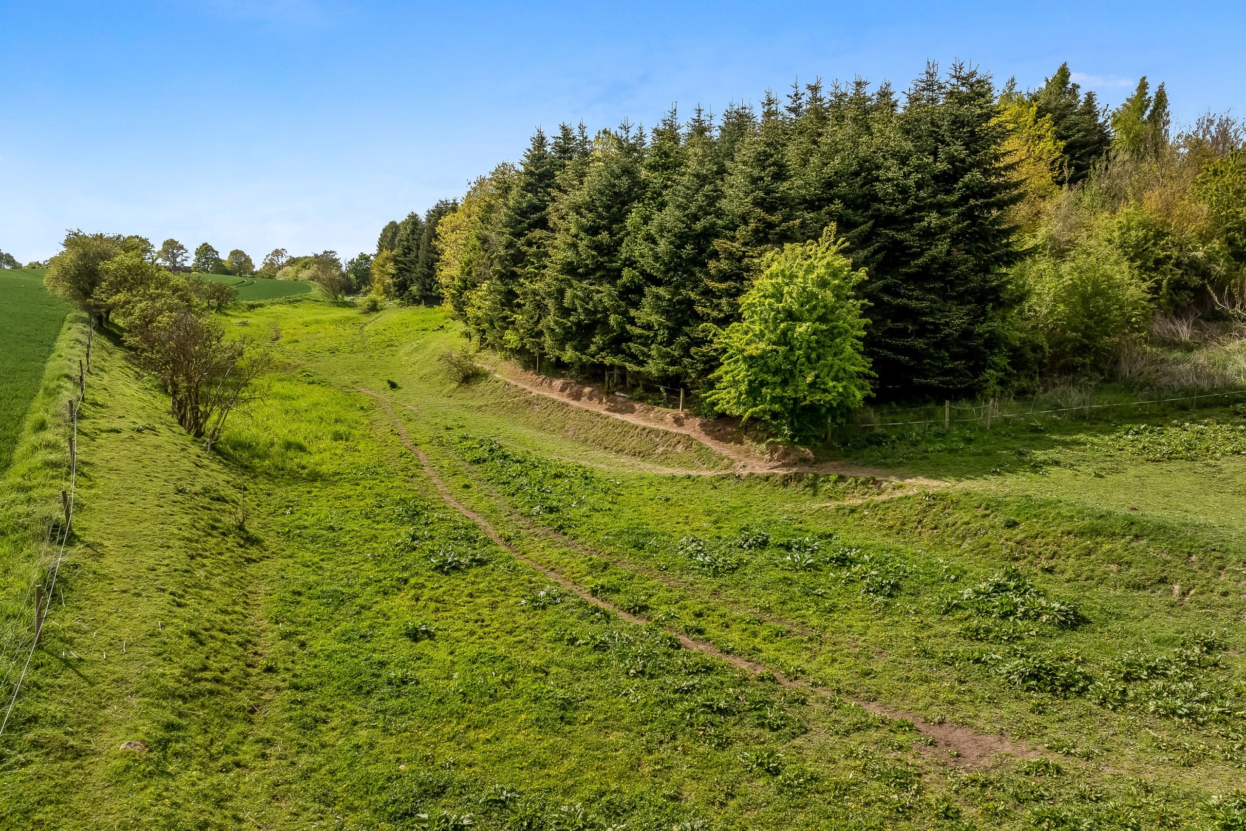 Naturejendom-lystejendom-vejle-7